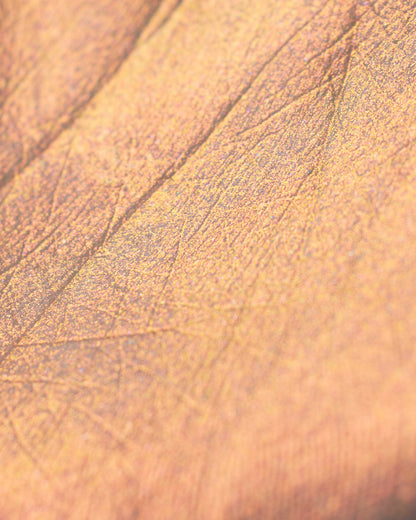 Midsummer Fairytales Liquid Highlighter (Multichrome)
