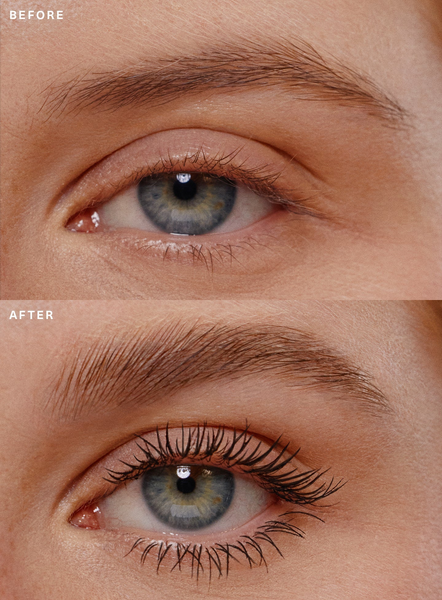 Mascara & Brow Gel Duo by Rare Beauty
