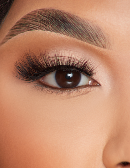 Feather Flair Lashes by P. Louise Cosmetics