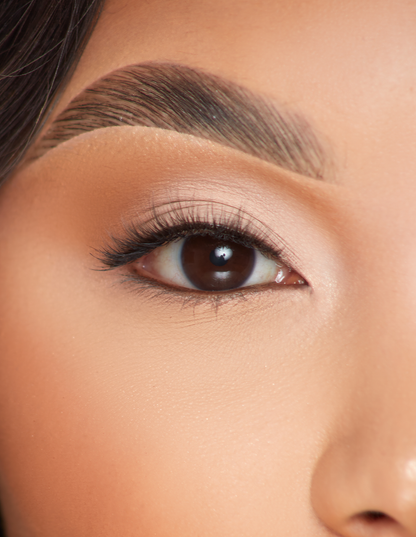 Little Luxury False Lashes by P. Louise Cosmetics