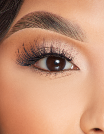 Radiant Romance False Lashes by P. Louise Cosmetics