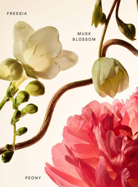 Fragrance Layering Balm Floral Peony Blossom by Rare Beauty