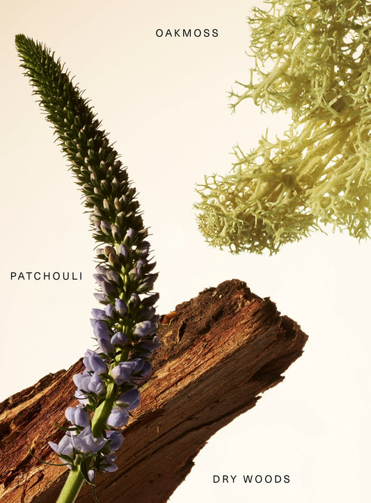 Fragrance Layering Balm Woody Oak by Rare Beauty