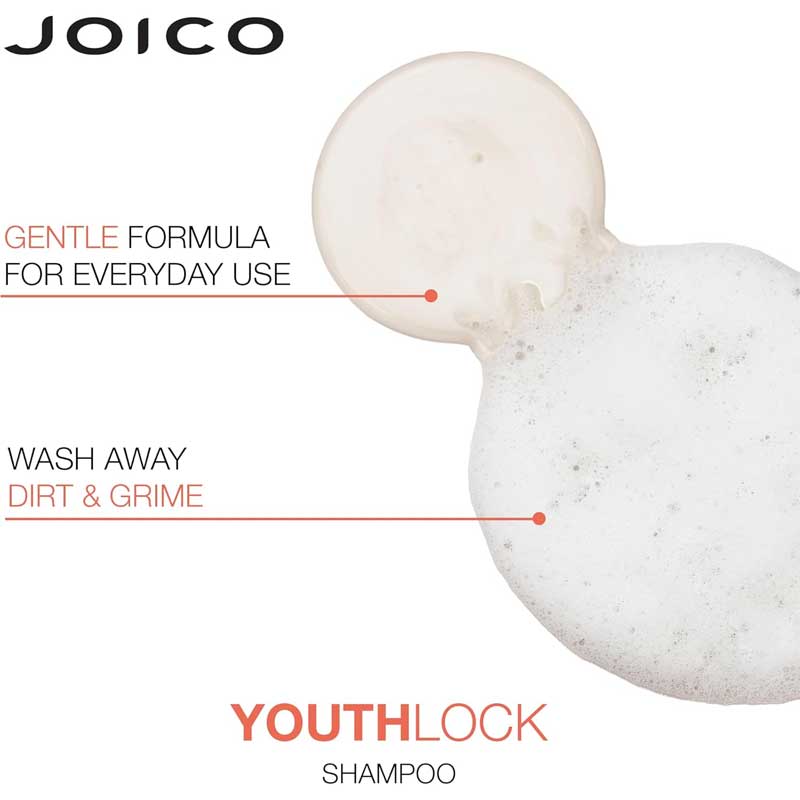 Youthlock Shampoo For Dry & Frizzy Hair by Joico