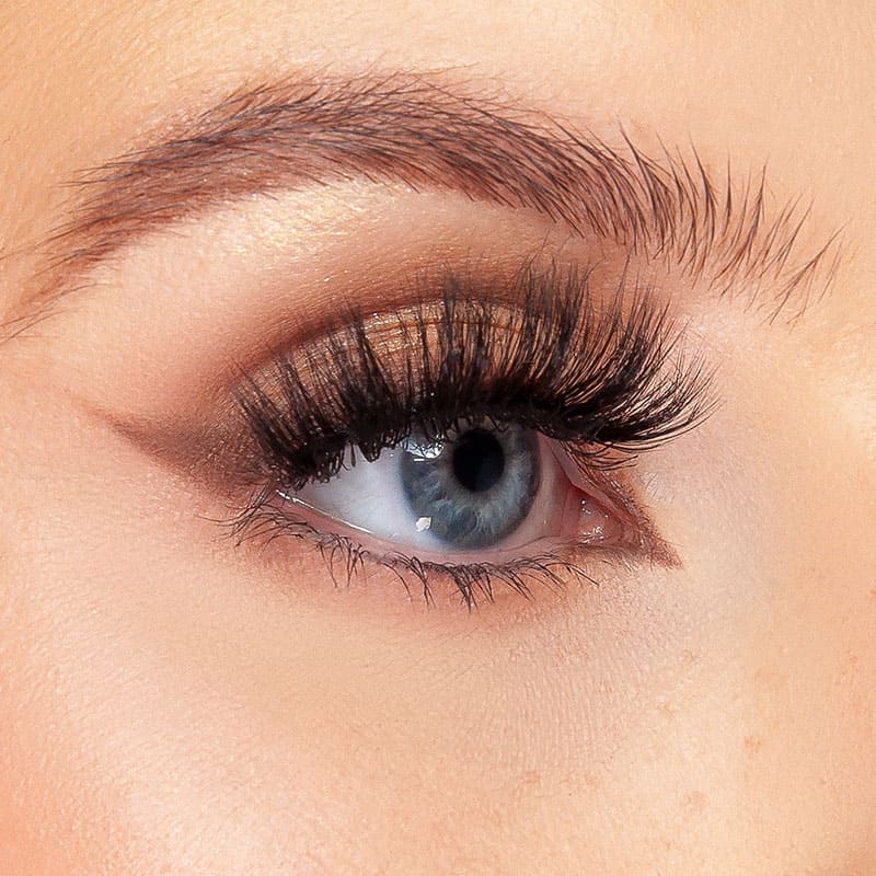 Enchant Eyelashes