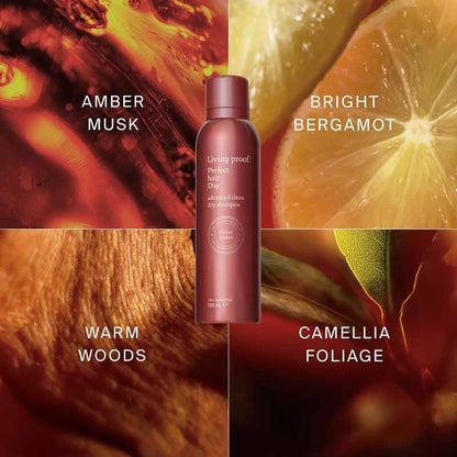 Perfect Hair Day Limited Edition Velvet Amber Advanced Clean Dry Shampoo by Living Proof