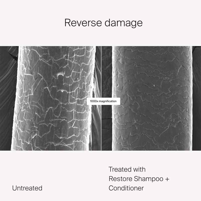 Restore Shampoo by Living Proof