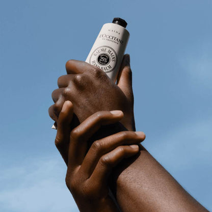 Shea Butter Intensive Hand Balm by L'OCCITANE