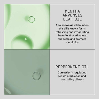 Density Defend Hair Booster Serum by Nioxin