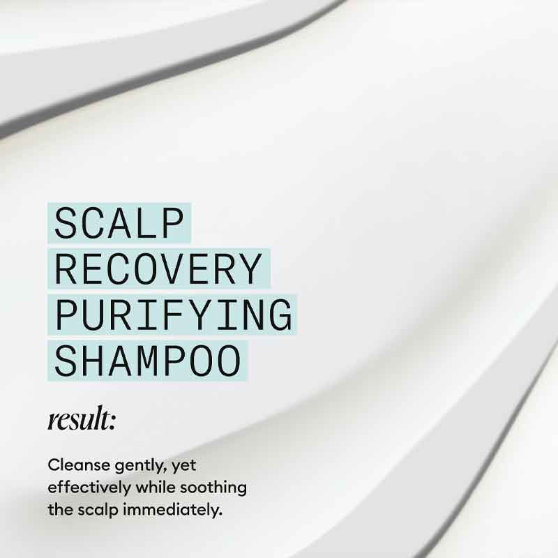 Scalp Recovery Cleanser Shampoo by Nioxin