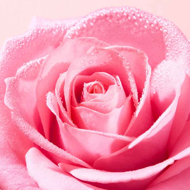 Very Rose Soothing Cleansing Micellar Water