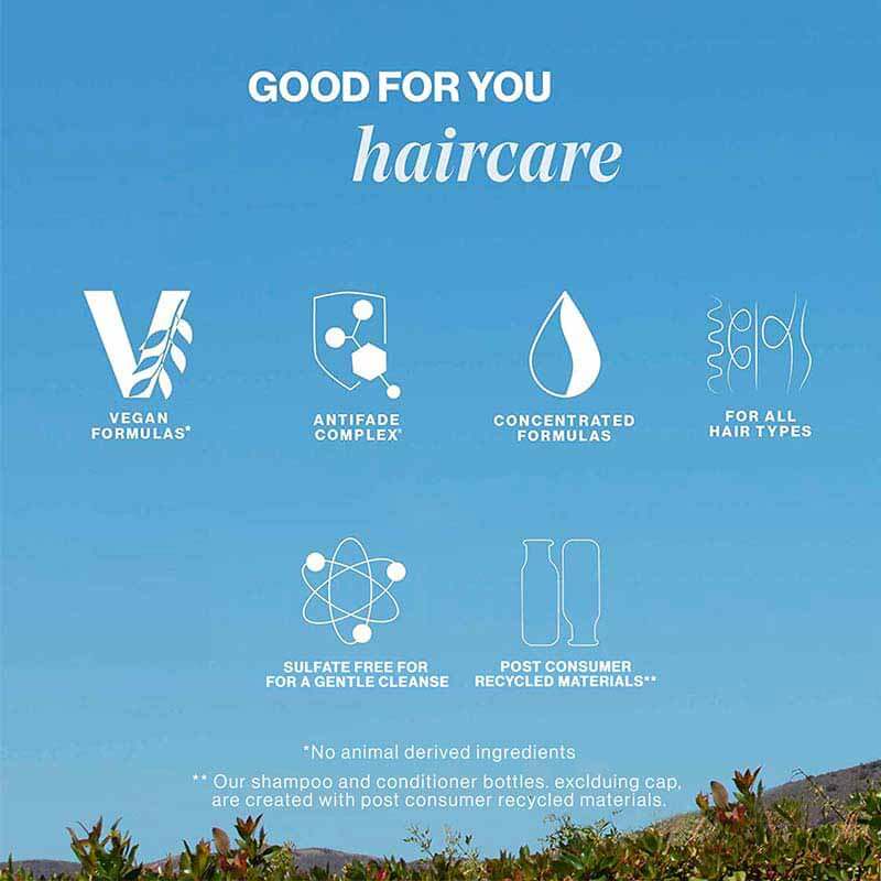 Strength Cure Conditioner For Damaged Coloured Hair by Pureology